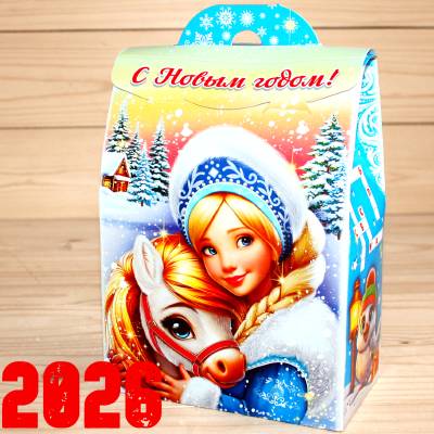 Детский новогодний подарок 2026 в Кубинке